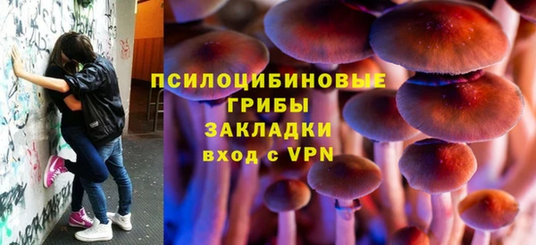 спайс Алзамай