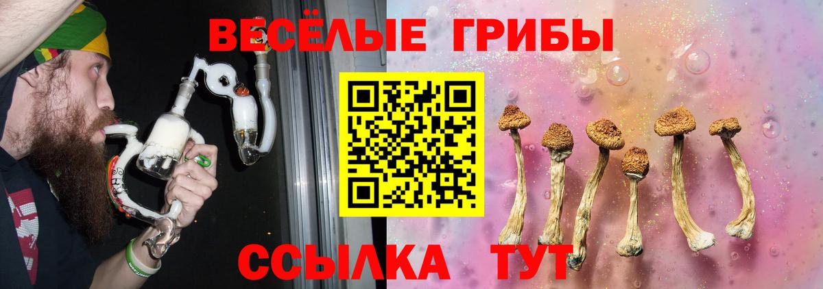 наркотики  Галлюциногенные грибы MAGIC MUSHROOMS  Вход с VPN  Галлюциногенные грибы Cubensis  Сибай 